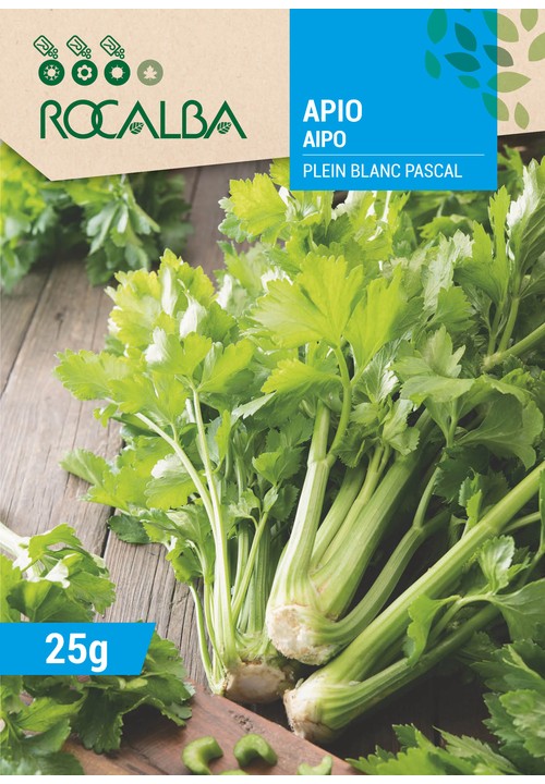APIO PLEIN BLANC PASCAL