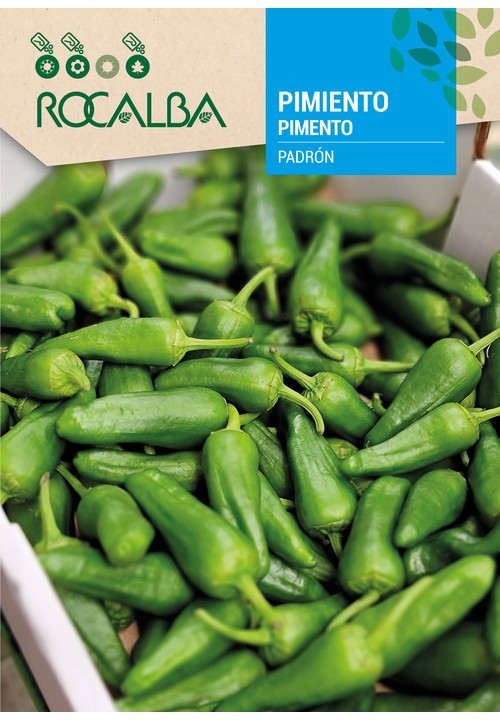 PEPPER DE PADRÓN