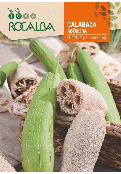 COURGE LUFFA