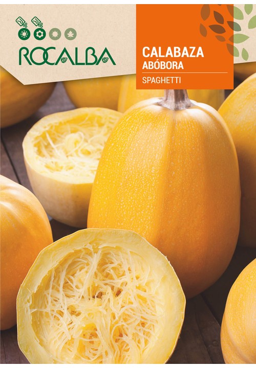 COURGE SPAGHETTI