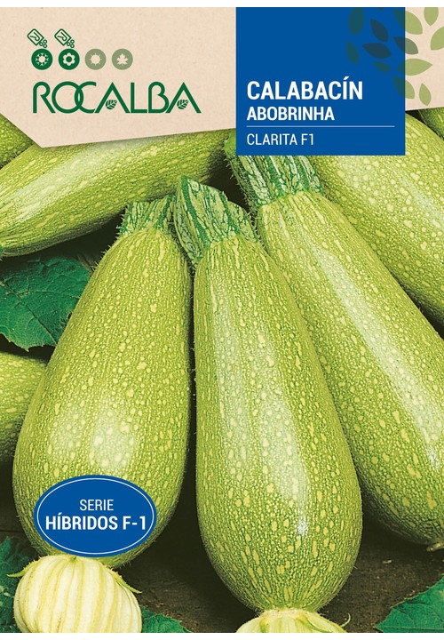 COURGETTE Hibrido F-1 Clarita