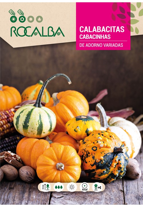 CALABACITAS DE ADORNO, VARIADAS