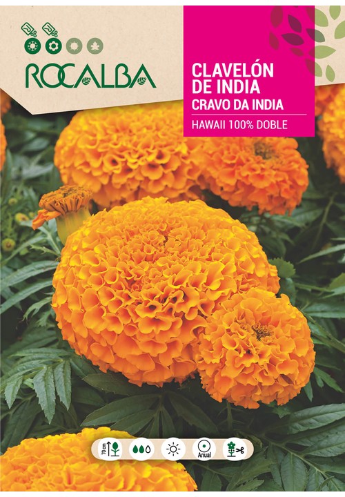 CLAVELÓN DE INDIA ‘HAWAII’ 100% DOBLE