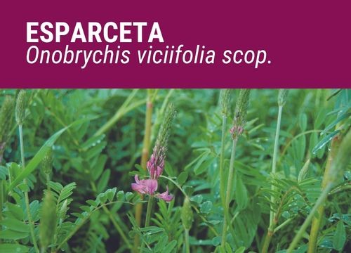 ESPARCETA