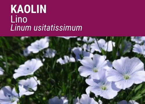 KAOLIN