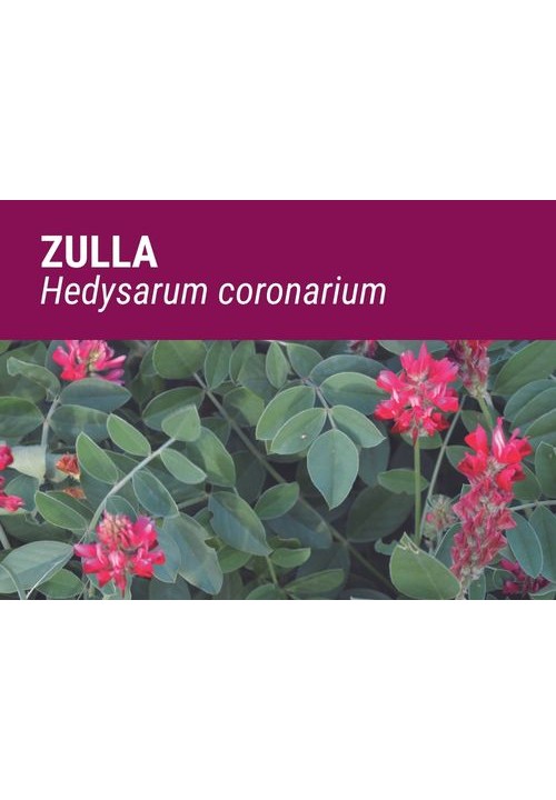 ZULLA