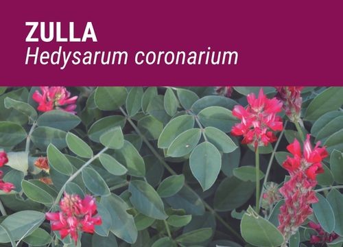 ZULLA