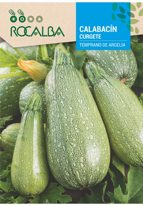 COURGETTE TEMPRANO DE ARGELIA