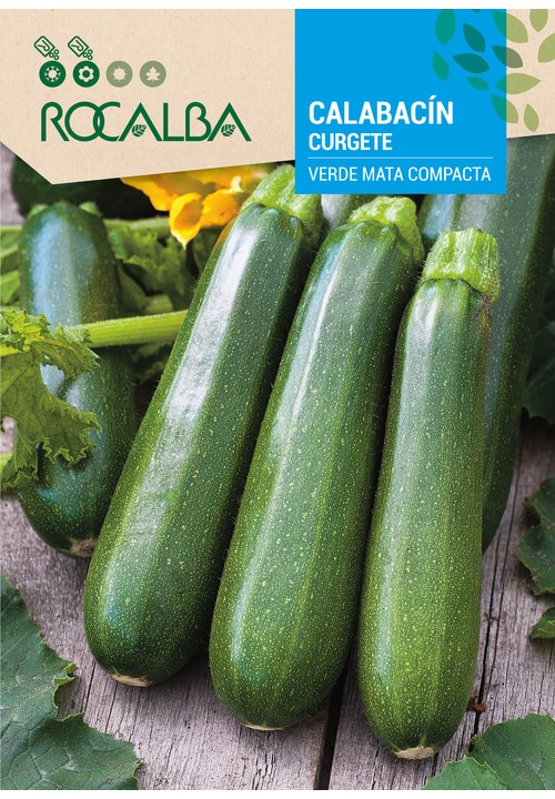 COURGETTE VERDE MATA COMPACTA