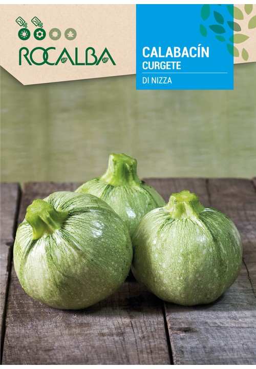 COURGETTE DI NIZZA