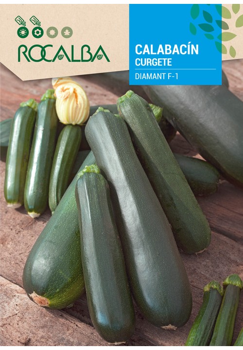 COURGETTE DIAMANT F-1
