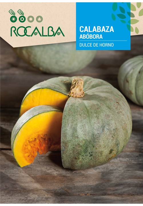 PUMPKIN DULCE DE HORNO