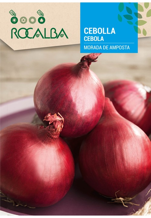OIGNON MORADA DE AMPOSTA