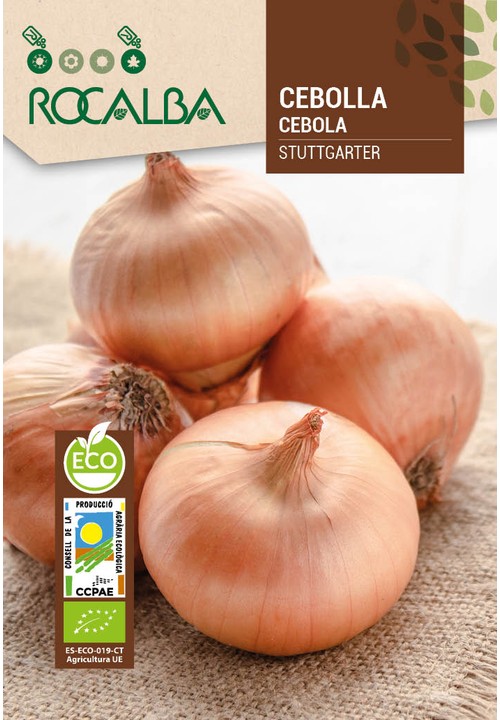 CEBOLLA STUTTGARTER