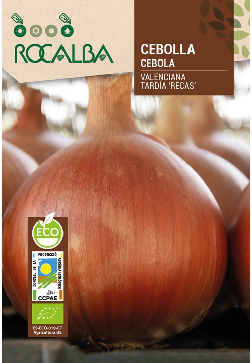 CEBOLLA VALENCIANA TARDÍA 'RECAS'