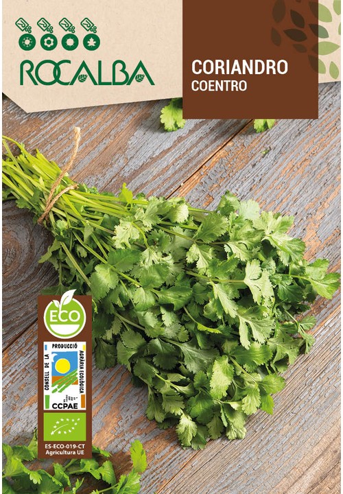 CORIANDER