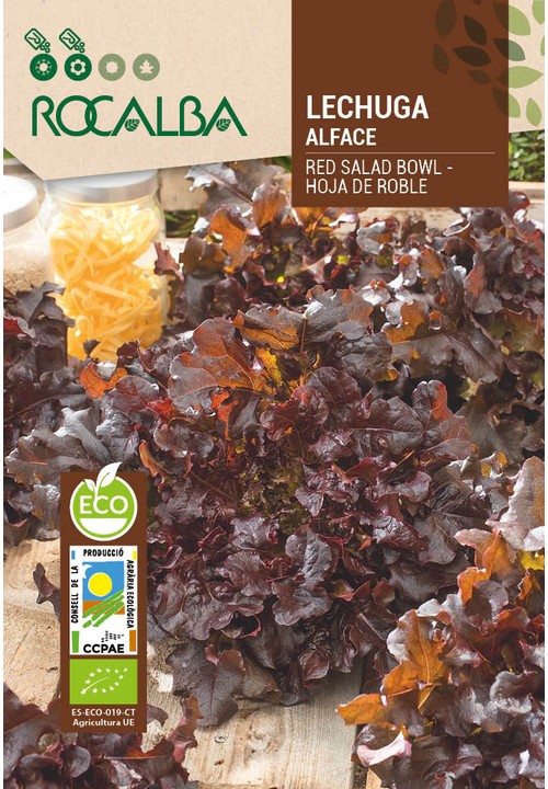 LETTUCE RED SALAD BOWL 'HOJA DE ROBLE'