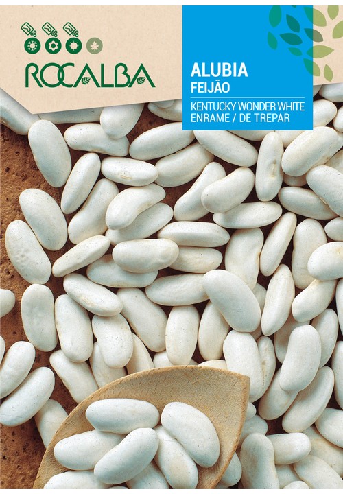 FRENCH BEAN KENTUCKY WONDER WHITE