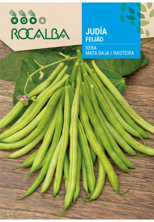FEIJÃO XERA