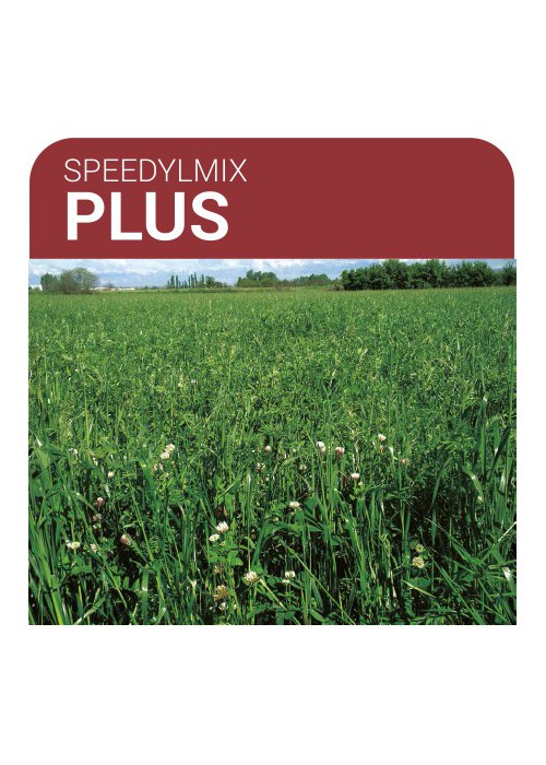 SEMILLA PRADERA FORMULA SPEEDYLMIX PLUS