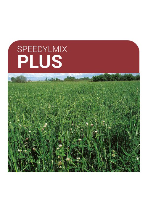 SEMILLA PRADERA FORMULA SPEEDYLMIX PLUS