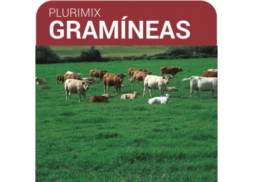 SEMILLA PRADERA FORM.PLURIMIX GRAMINEAS