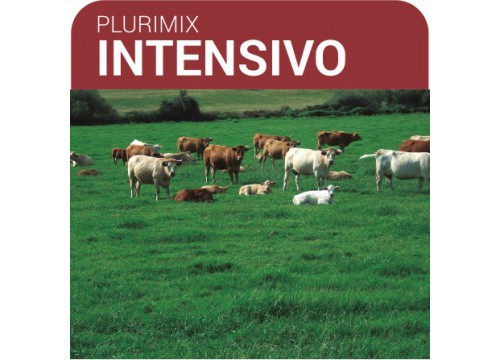 SEMILLA PRADERA FORM.PLURIMIX INTENSIVO