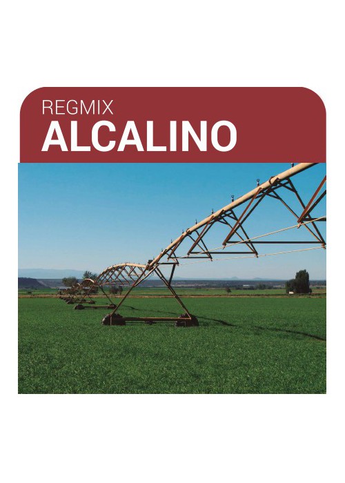 SEMILLA PRADERA FORMULA REGMIX ALCALINO