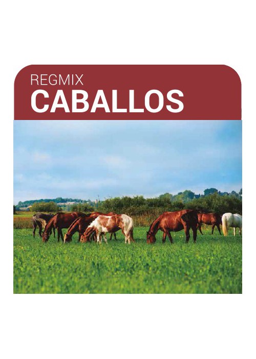 SEMILLA PRADERA FORMULA REGMIX CABALLOS