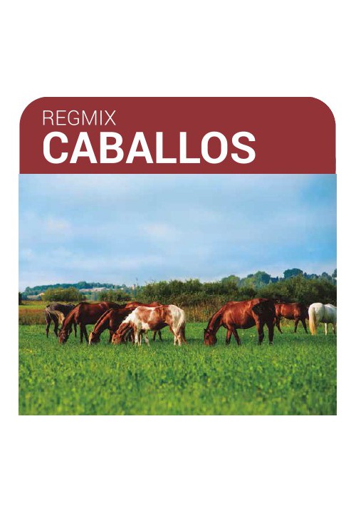 SEMILLA PRADERA FORMULA REGMIX CABALLOS