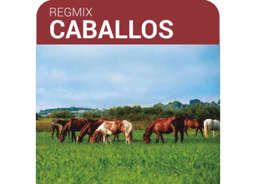 SEMILLA PRADERA FORMULA REGMIX CABALLOS