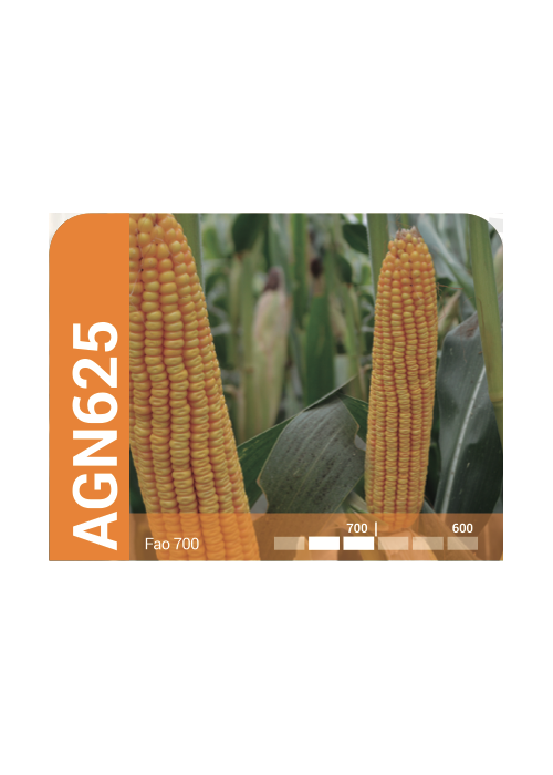 AGN625