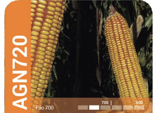AGN720