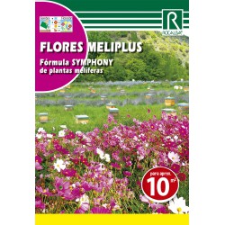 FLORES MELIPLUS