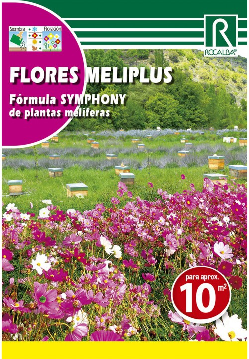 FLORES MELIPLUS