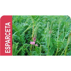 SEMILLA ESPARCETA