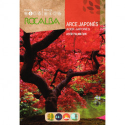 ACER JAPONES