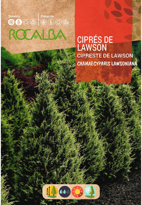 CIPRÉS DE LAWSON