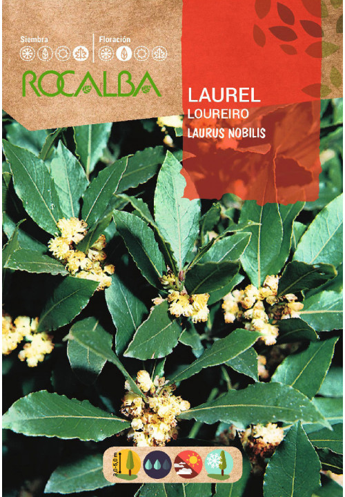 LAUREL