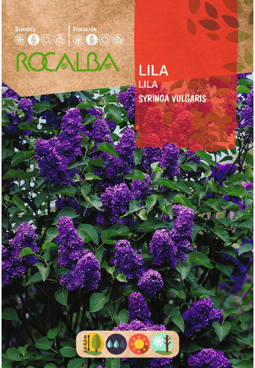 LILAS