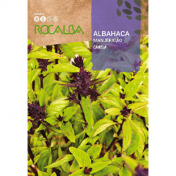 ALBAHACA CANELA