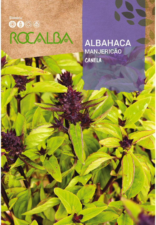 ALBAHACA CANELA