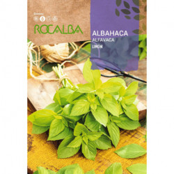 ALBAHACA LIMÓN