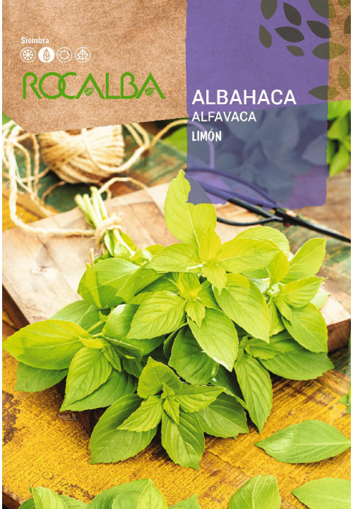 ALBAHACA LIMÓN