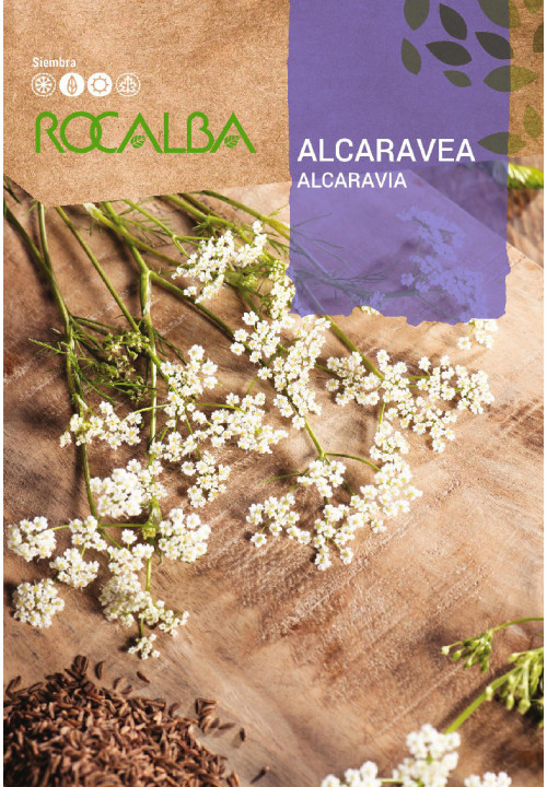 Alcaravea