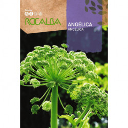 ANGELICA