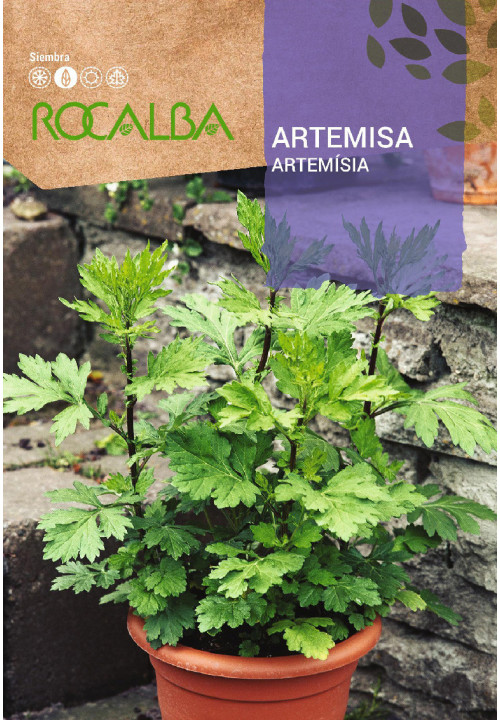 ARTEMISA