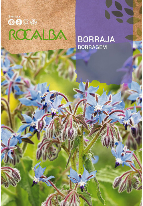 BORAGE