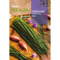 CEBOLLINO