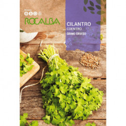 CILANTRO